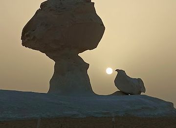 egypt/white-desert-national-park/nightclub/white-desert-egypt
