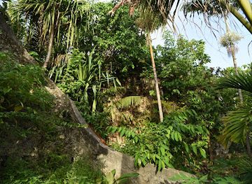 vanuatu/shefa/nightclub/coconut-crab-sanctuary