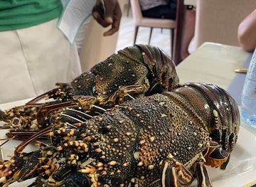 mauritius/pamplemousses/nightclub/l-ocean