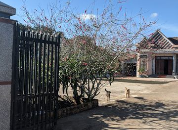 cambodia/mondulkiri-province/nightclub/thanh-ba