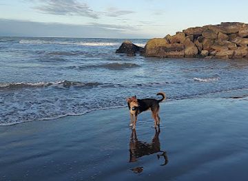 argentina/mar-del-plata/la-perla/nightclub/tolk-mar-del-plata