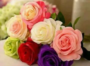 egypt/alexandria/anfoushi/nightclub/aquarious-disco