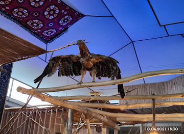 tajikistan/panjakent/nightclub/dilovara