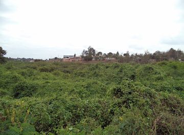 kenya/nairobi/karen/nightclub/club-bonanza