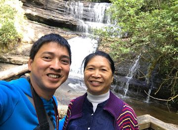 australia/mount-field-national-park/nightclub/mount-field-visitor-centre