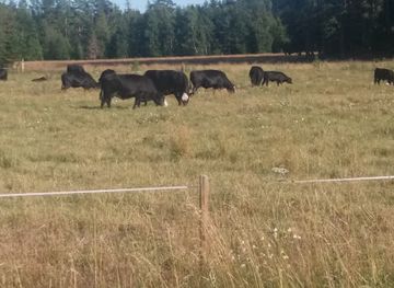 finland/archipelago-national-park/nightclub/korpo-jazz-rf