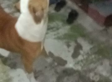 india/kolkata/esplanade/nightclub/v-i-p-lounge