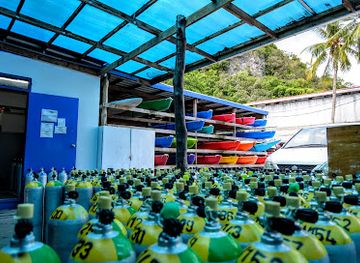 palau/jellyfish-lake/nightclub/sam-s-tours-palau