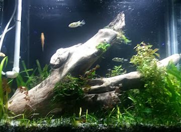 peru/lima/lince/nightclub/80-divas