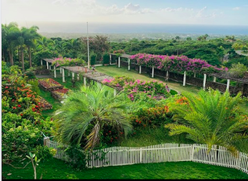 saint-kitts-and-nevis/botanical-gardens-of-nevis/nightclub/nevis-botanical-gardens