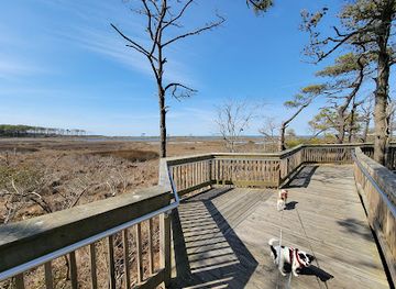 virginia/assateague-island-national-seashore/nightclub/assateague-island-national-seashore-entrance-station