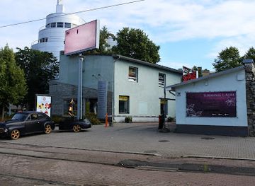 estonia/tallinn/kadriorg/nightclub/virgins