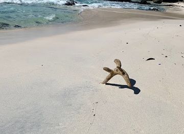 Dolly Beach