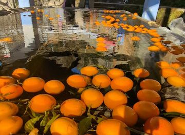 morocco/chefchaouen/nightclub/fresh-orange-juice