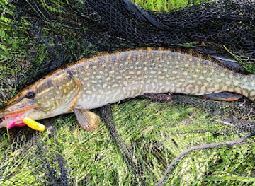 hungary/keszthely/nightclub/hevizi-kajak-kiszallopont