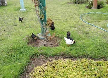 ecuador/cotopaxi-national-park/nightclub/ranchito-private-club