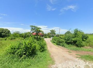 thailand/ayutthaya-province/nightclub/birdaholicphakhai-bap