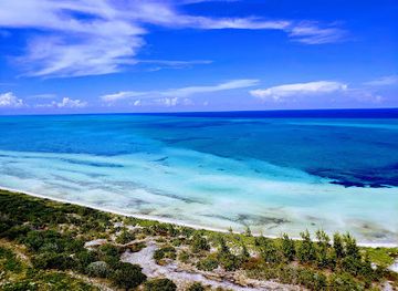 the-bahamas/andros-island/nightclub/thousand-fathoms-club