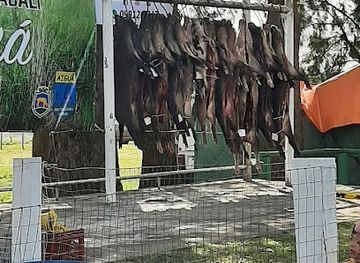 uruguay/aigua/nightclub/fiesta-del-jabali-en-aigua