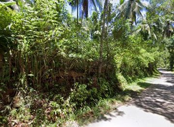 sri-lanka/pinnawala-elephant-orphanage/nightclub/nimla-horagae-vi-mola