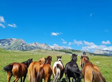 montenegro/durmitor-national-park/nightclub/montenegro-horse-riding