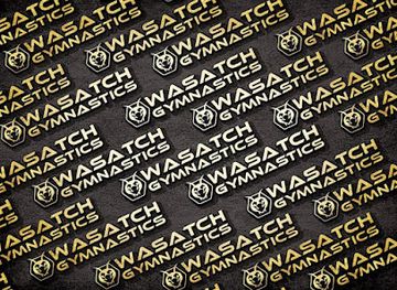 utah/heber-city/nightclub/wasatch-gymnastics-heber