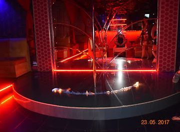 romania/galati/nightclub/night-club-harem