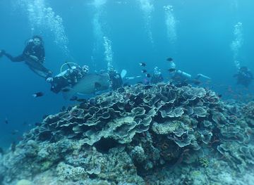 malaysia/pulau-sipadan/nightclub/sipadan-diving-reserve