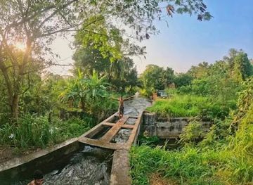 sri-lanka/anuradhapura/nightclub/ahasa-bokkuwa