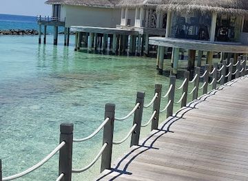 maldives/shaviyani-atoll/nightclub/shio