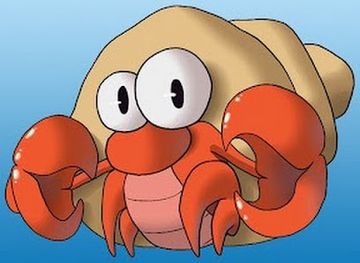 comoros/grand-comore/nightclub/covo-dei-paguri-comore