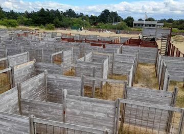 denmark/romo/nightclub/romo-lege-labyrintpark