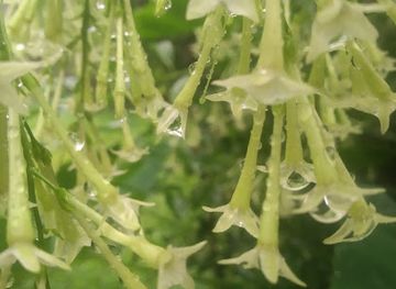 bangladesh/khulna-division/nightclub/bachelor-center