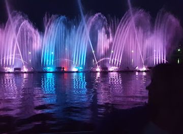 lithuania/utena/nightclub/skoniu-fontanas