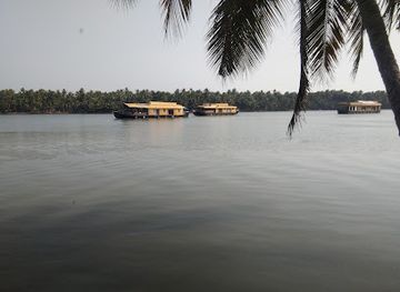 india/kerala/nightclub/beach-voice