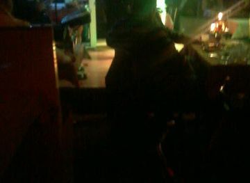 turkiye/ankara/ulus/nightclub/kral-ve-ben-gazino