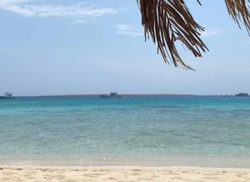 egypt/ismailia/nightclub/eleven