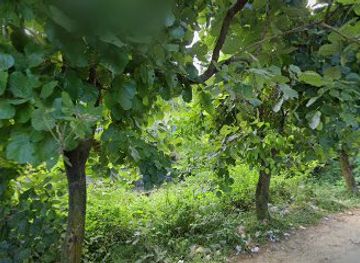 bangladesh/cox-s-bazar/himchori/nightclub/shupari-bich-gazipur