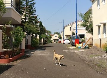 india/nashik/old-nashik/nightclub/sumanchandra-club