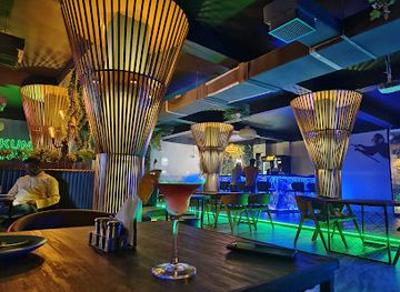 wild monkey nightlife