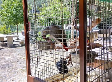 portugal/peneda-geres-national-park/nightclub/churrasqueira-parque