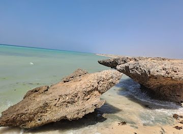 saudi-arabia/farasan-islands/nightclub/farasan-island-marine-sanctuary