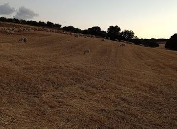 tunisia/the-kerkennah-islands/nightclub/hammami-khayri
