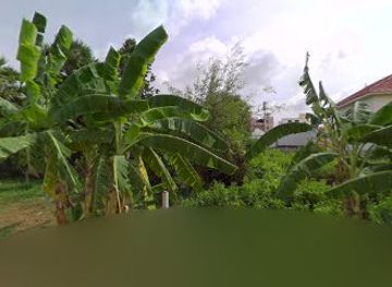 cambodia/kep-province/nightclub/ha