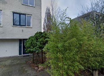 netherlands/kinderdijk/nightclub/jacqueline-bongers