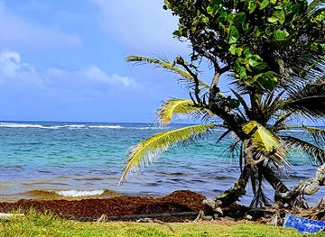 saint-lucia/vieux-fort-quarter/nightclub/kitch-s-beach-bar