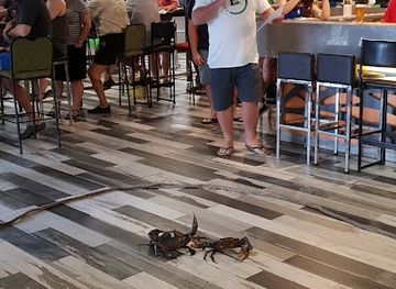 australia/hinchinbrook-island/nightclub/hotel-hinchinbrook