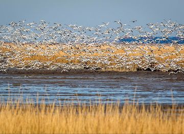 delaware/bombay-hook-national-wildlife-refuge/nightclub/bombay-hook-national-wildlife-refuge