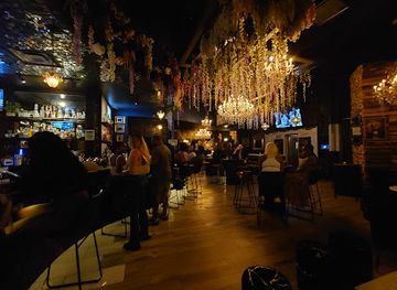 tennessee/memphis/downtown/nightclub/silly-goose