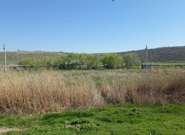 Terasă